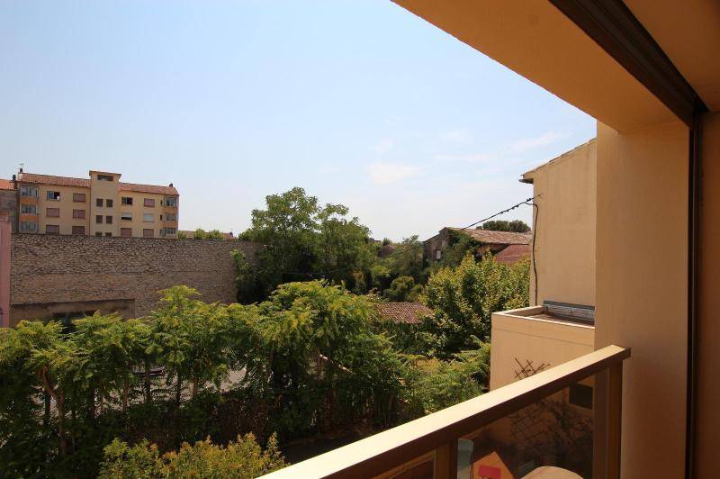 Appartement centre ville - ascenceur - 2 balcons ...