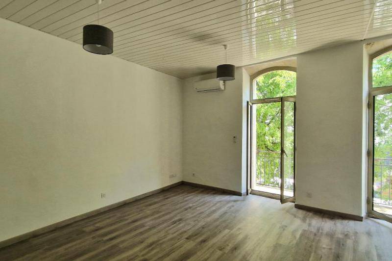 Grand appartement renove - lumineux - balcon - ...