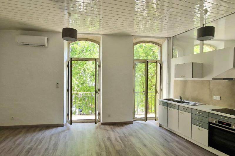 Grand appartement renove - lumineux - balcon - ...