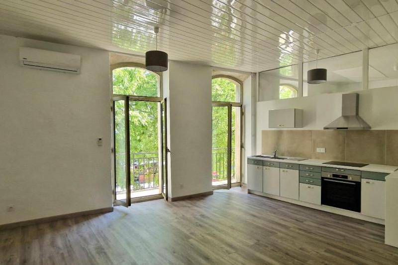 Grand appartement renove - lumineux - balcon - ...