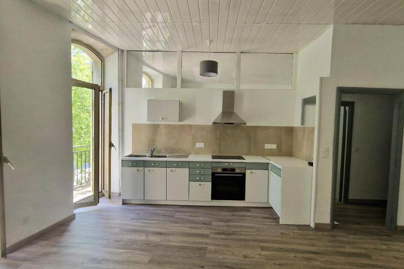 Grand appartement renove - lumineux - balcon - ...